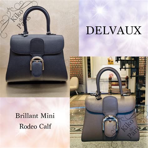 delvaux brilliance mini.